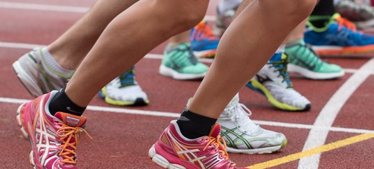 Auto generated site fitness trainer